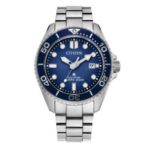 Diver's Eco Drive 200 mt 40mm
