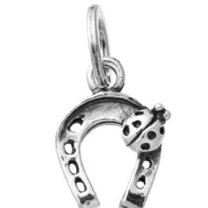 Charm Ferro Di Cavallo Coccinella