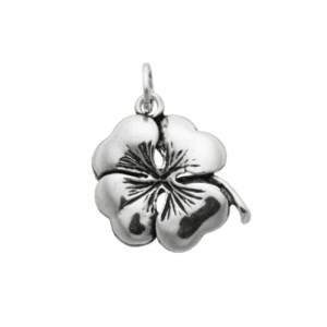 Charm Amuleti