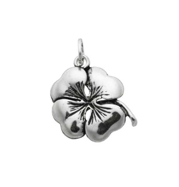 Charm Amuleti