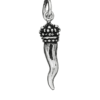 Charm Amuleti