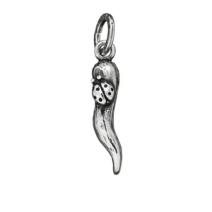 Charm Corno Piccolo Con Coccinella