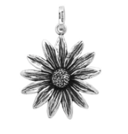 CHARM Margherita grande