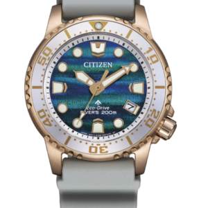 promaster eco drive Eco drive Donna